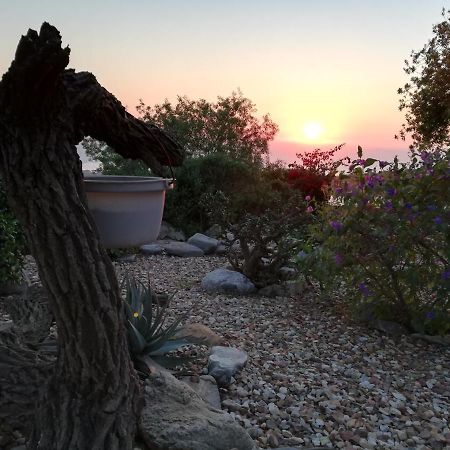 Onze Uitsight Cottage St Helena Bay Ngoại thất bức ảnh