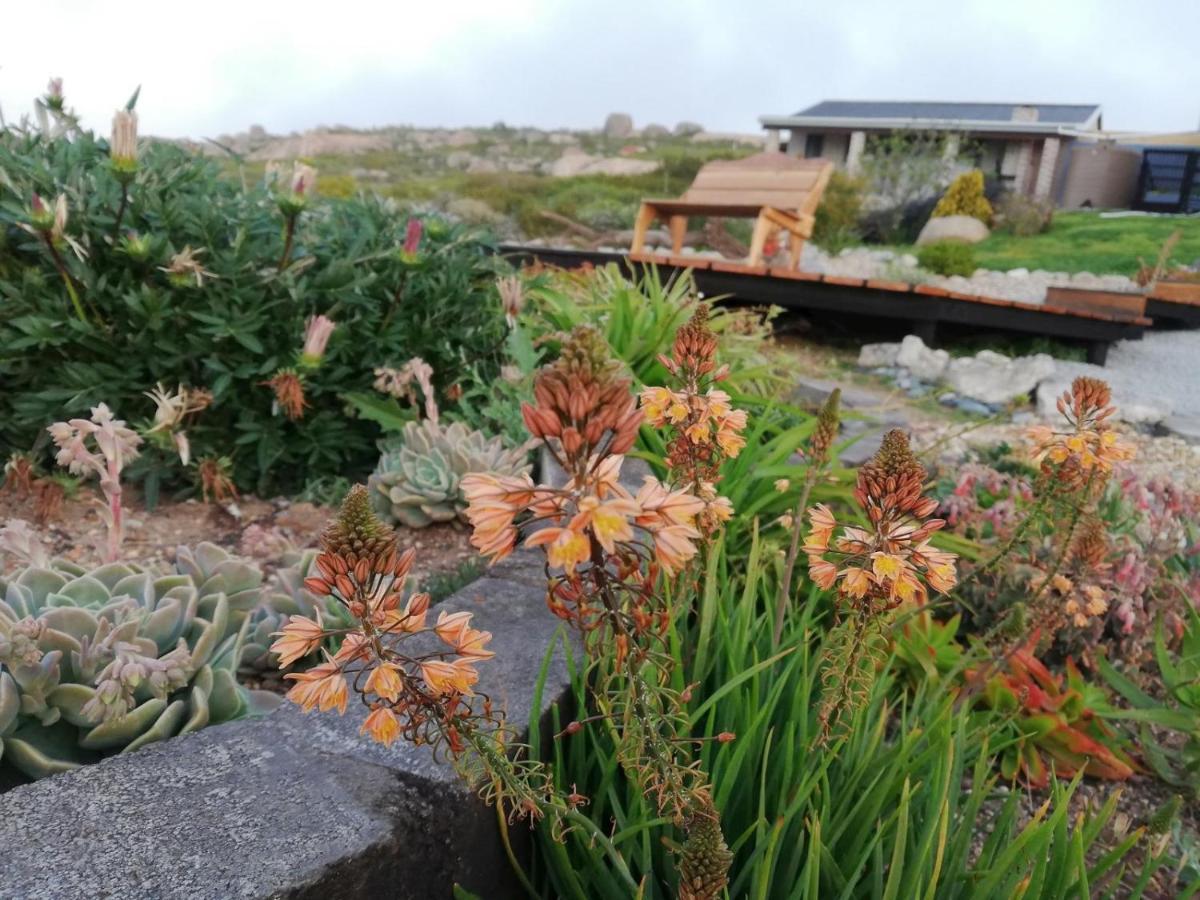 Onze Uitsight Cottage St Helena Bay Ngoại thất bức ảnh